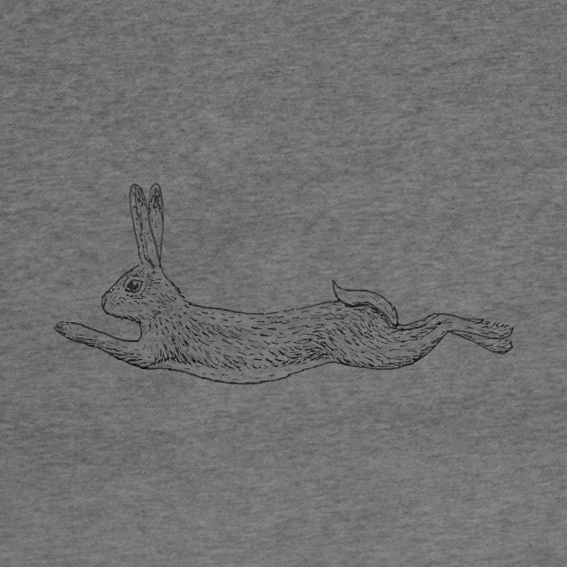 Running rabbit` by lexalion